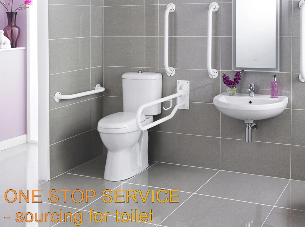 Hotel Water-Saving Bathroom Sanitary Ware Wc Siphonic One-Piece Water Closet Ceramic Toilet