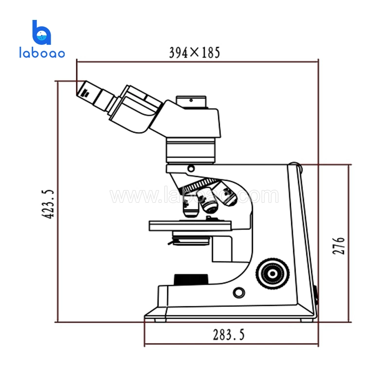 Digital Camera Professional Polarizing Microscope Used in Laboratory