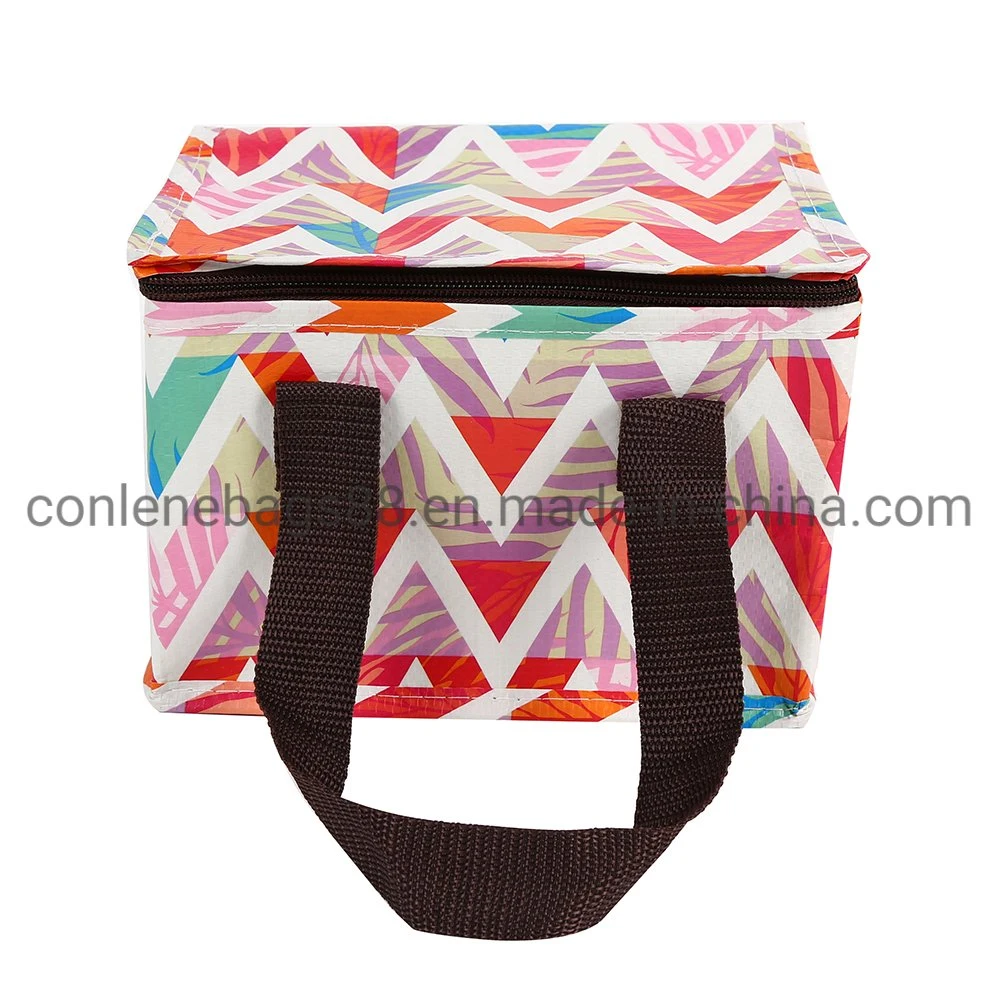 Latest Customized Logo Environmental Foldable Picnic Lunch Storage Cooler Bag