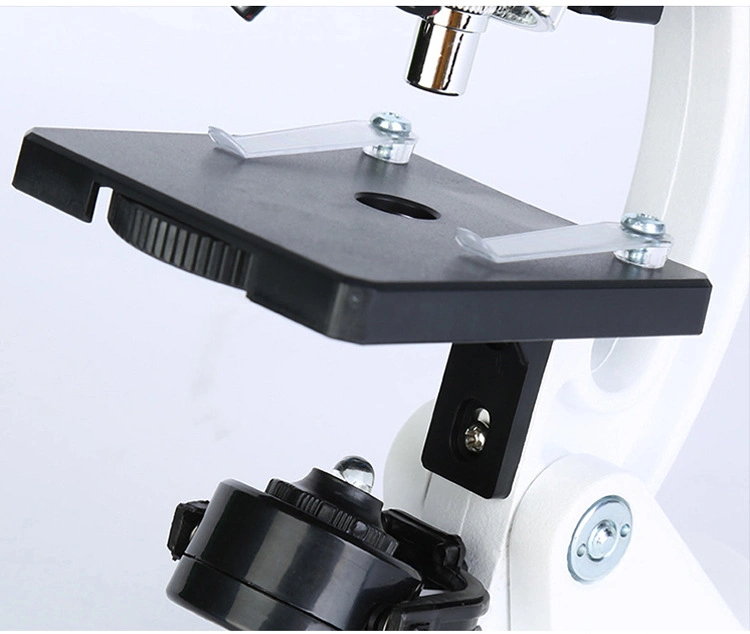Seidentopf Binocular Viewing Head Xsp-73b 360º Rotatable Microscope