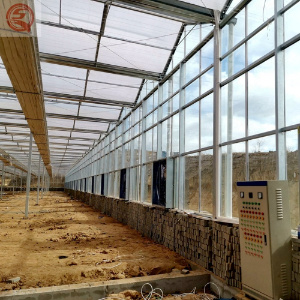 Automatic Agricultural/Industrial/Commercial Glass Greenhouses with Hydroponic Drip Irrigation System
