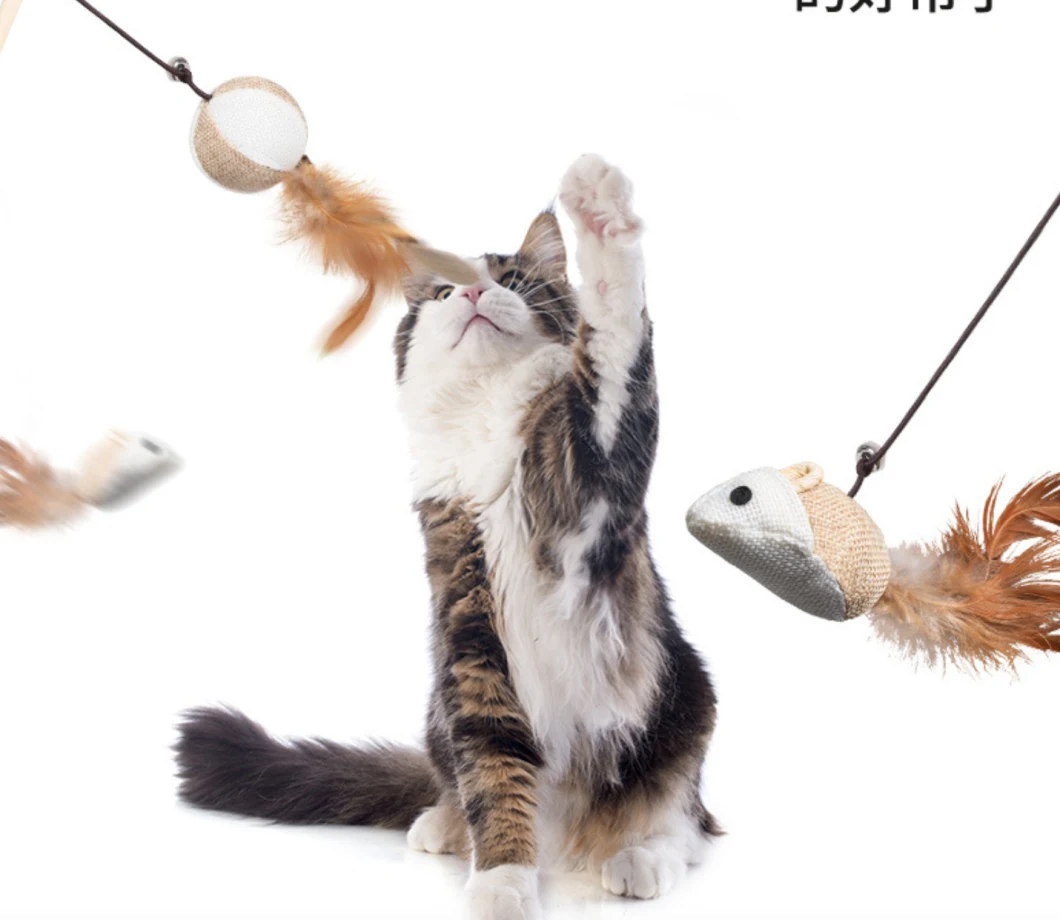 Pet Supplies Funny Cute Cat Teaser Sticks with Feather