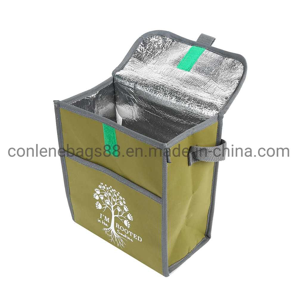 Hot Sale Product Professional Made Cooler Bag Food Delivery Cooler Lunch Bag