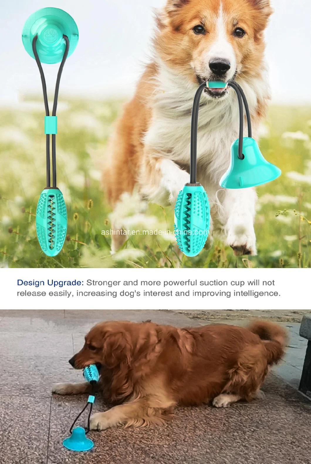 Multifunction Pet Molar Bite Dog Ball Interactive Fun Pet Leakage Food Dog Toys with Suction Cup