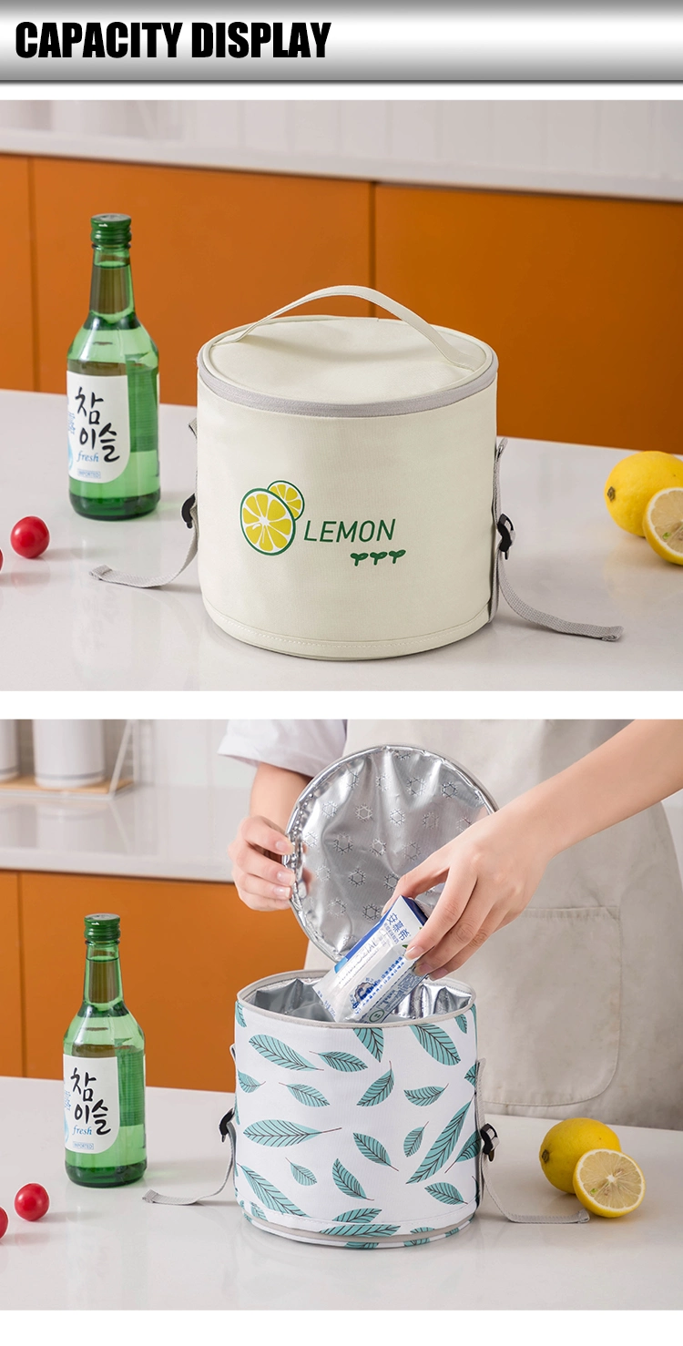 School Insulated Leakproof Cooler Lunch Bag for Women/Men/Adult