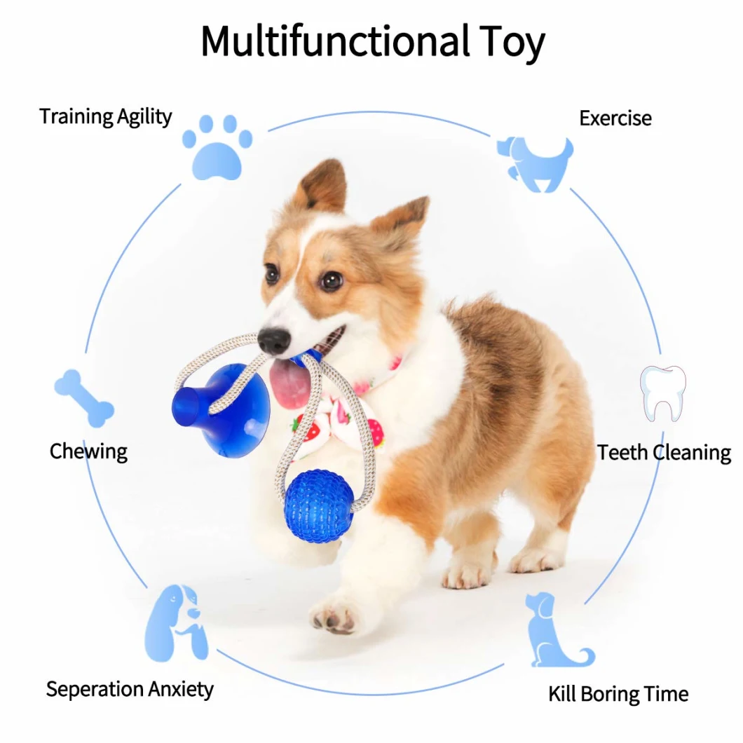 Pet Chew Toys for Aggressive Chewers, Molar Bite Toy