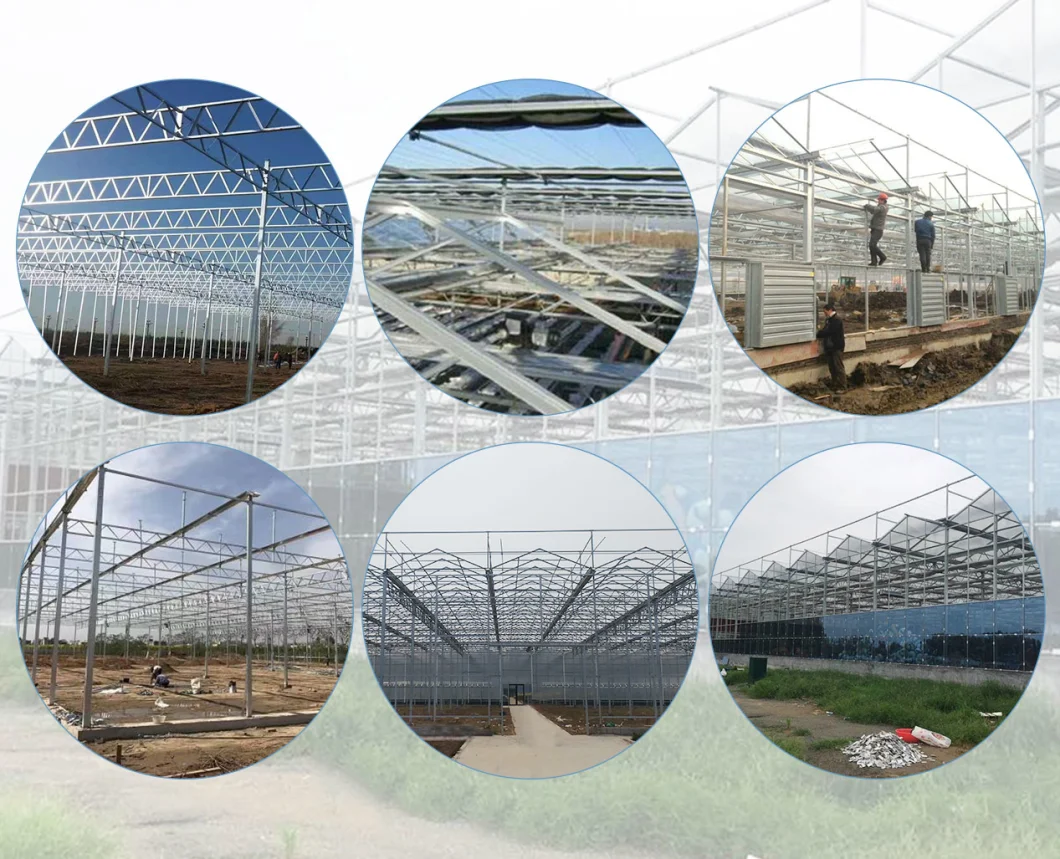 Galvanized Steel Tube Glass Greenhouse with Drip Irrigation System