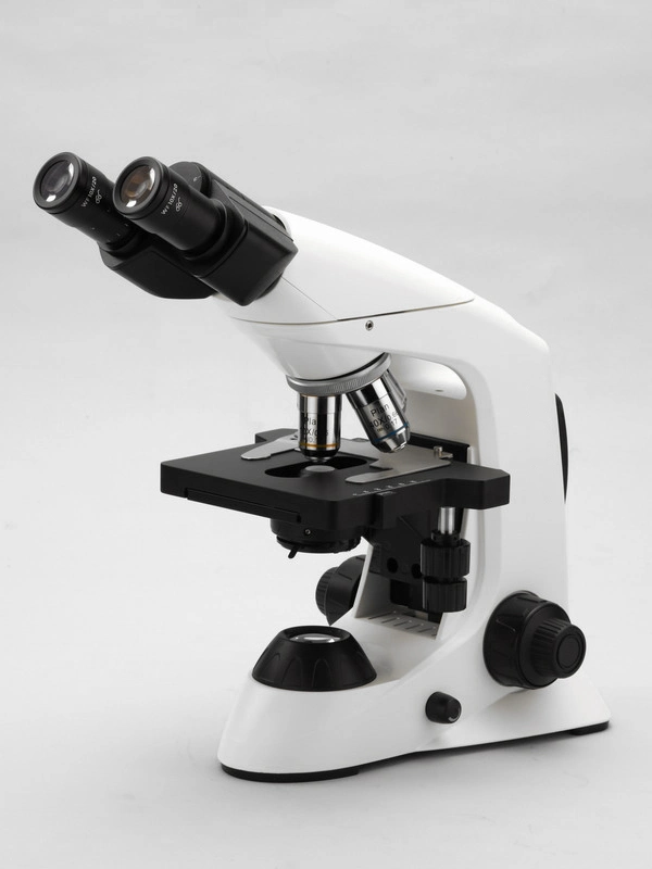 Fiber Optical Microscope for Microscope Instrument Biological Microscope Factory