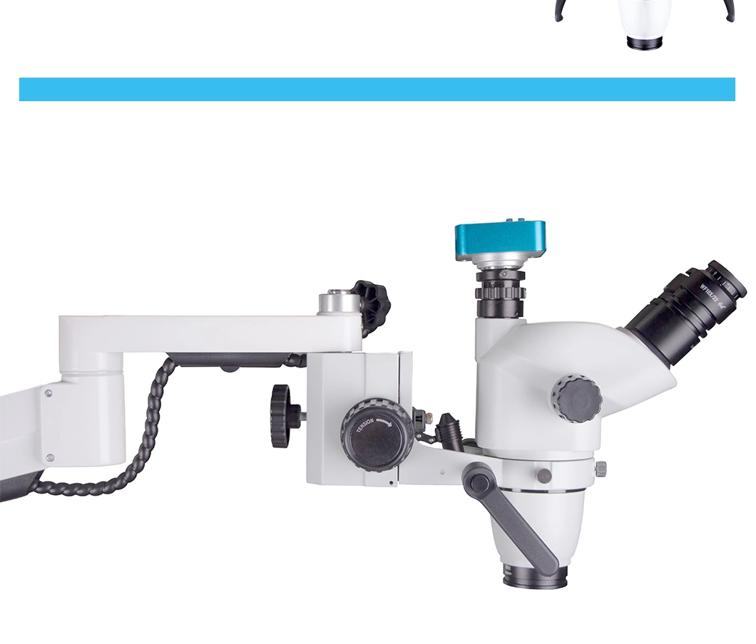 Dalaude Dental Teaching Optional Dental Equipment Like Microscope with Camera
