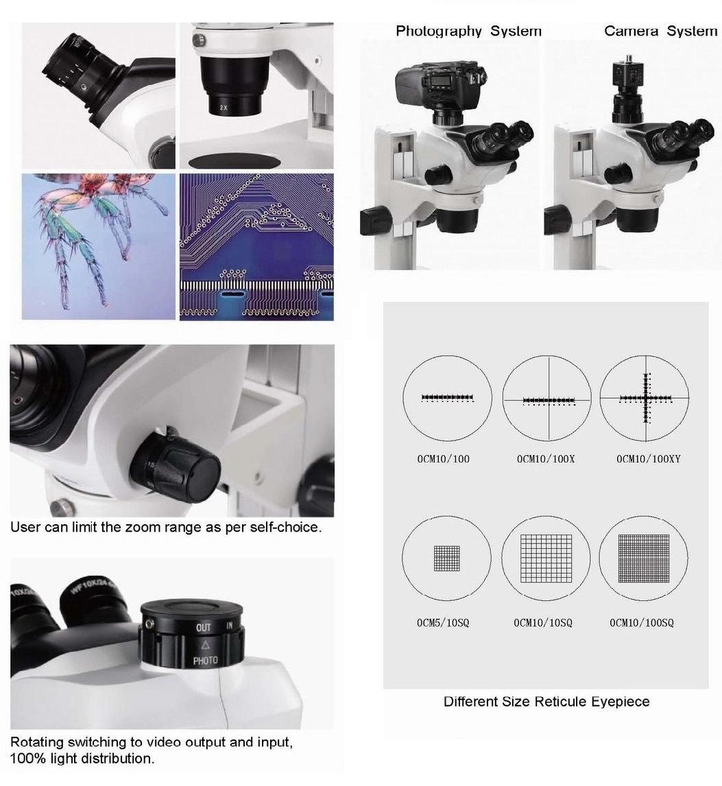 Xtx-4b20X Student Trinocular Microscope with Camera
