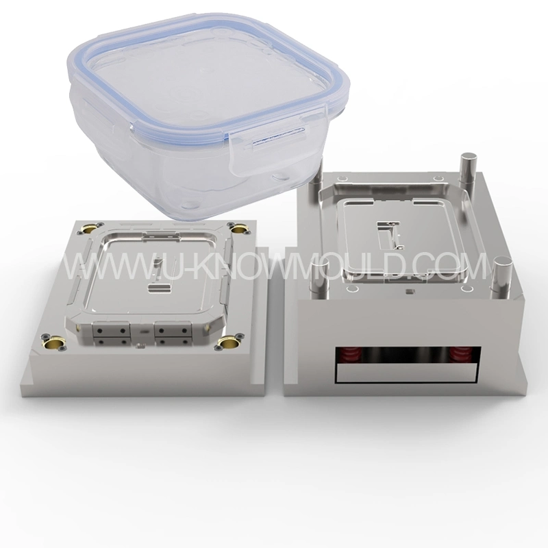 Customized Food Sealed Box Mold with Lid Lunch Container Mould