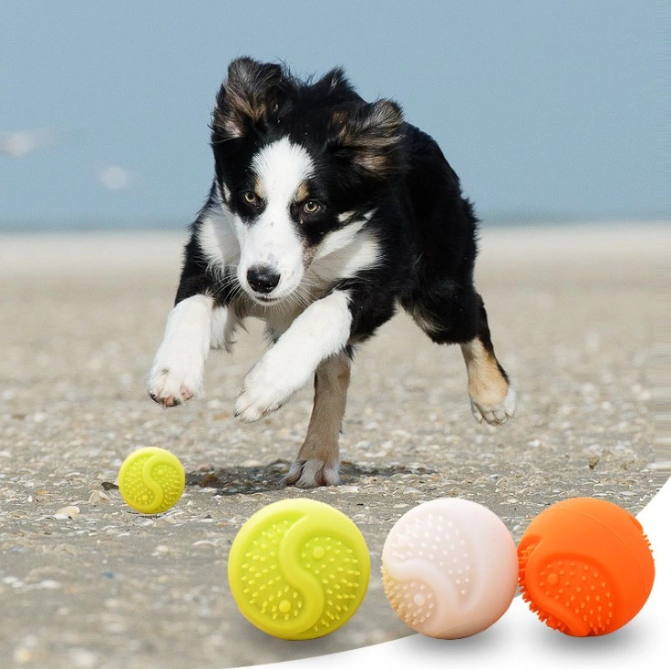 Glowing Pet Training Silicone Ball LED Dog Chew Toy