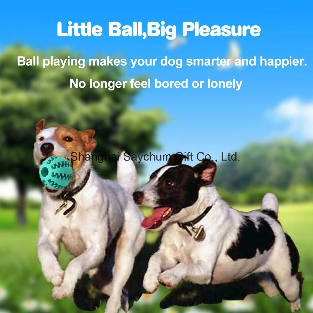 Pet Dog Toys Nontoxic Bite Resistant Ball Toys