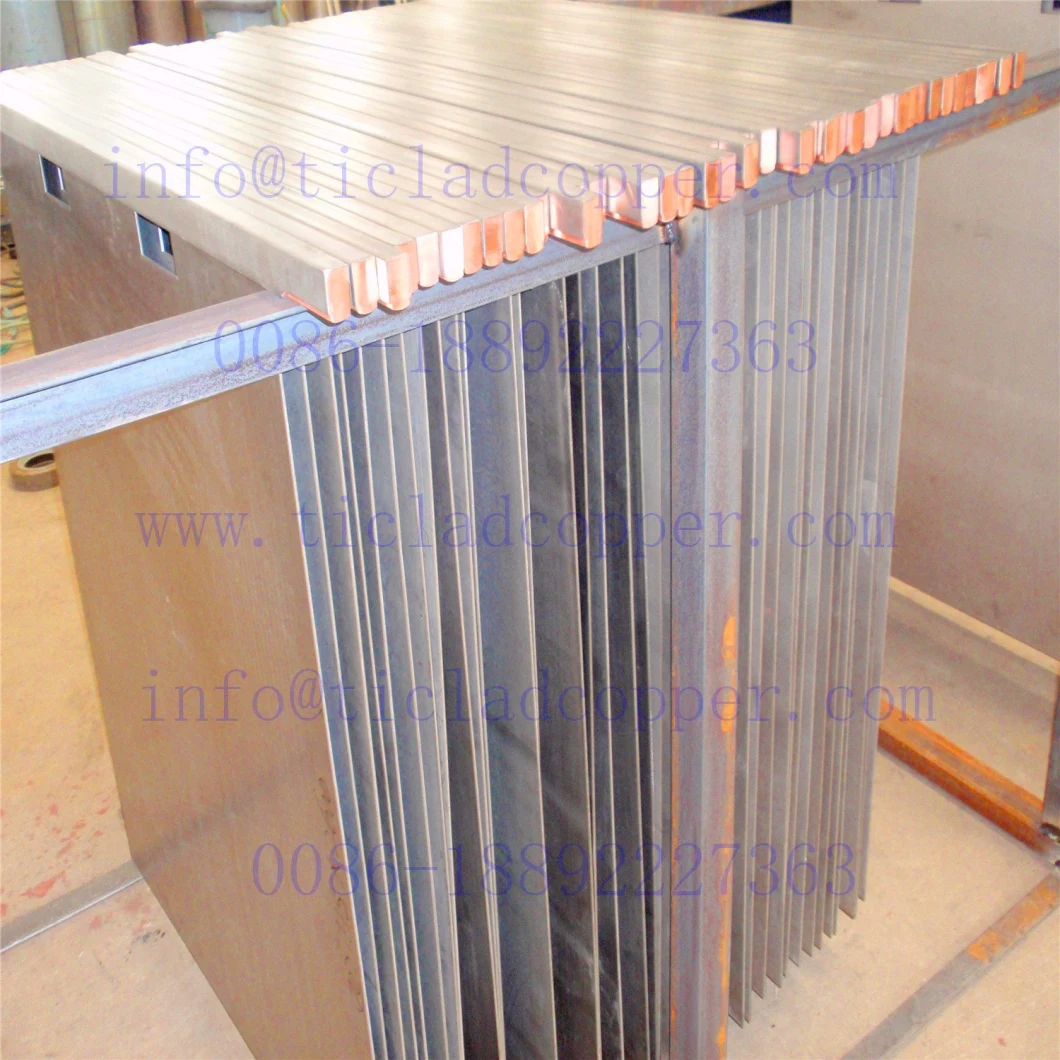 Gr1 Titanium Cathode Plate for Copper Foil Electrowinning/ Steel Permanent Cathode Sheet for Zinc Electroplating