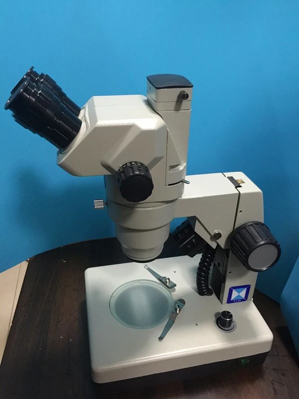 Trinocular Zoom Stereo Microscope (XTH-3021)