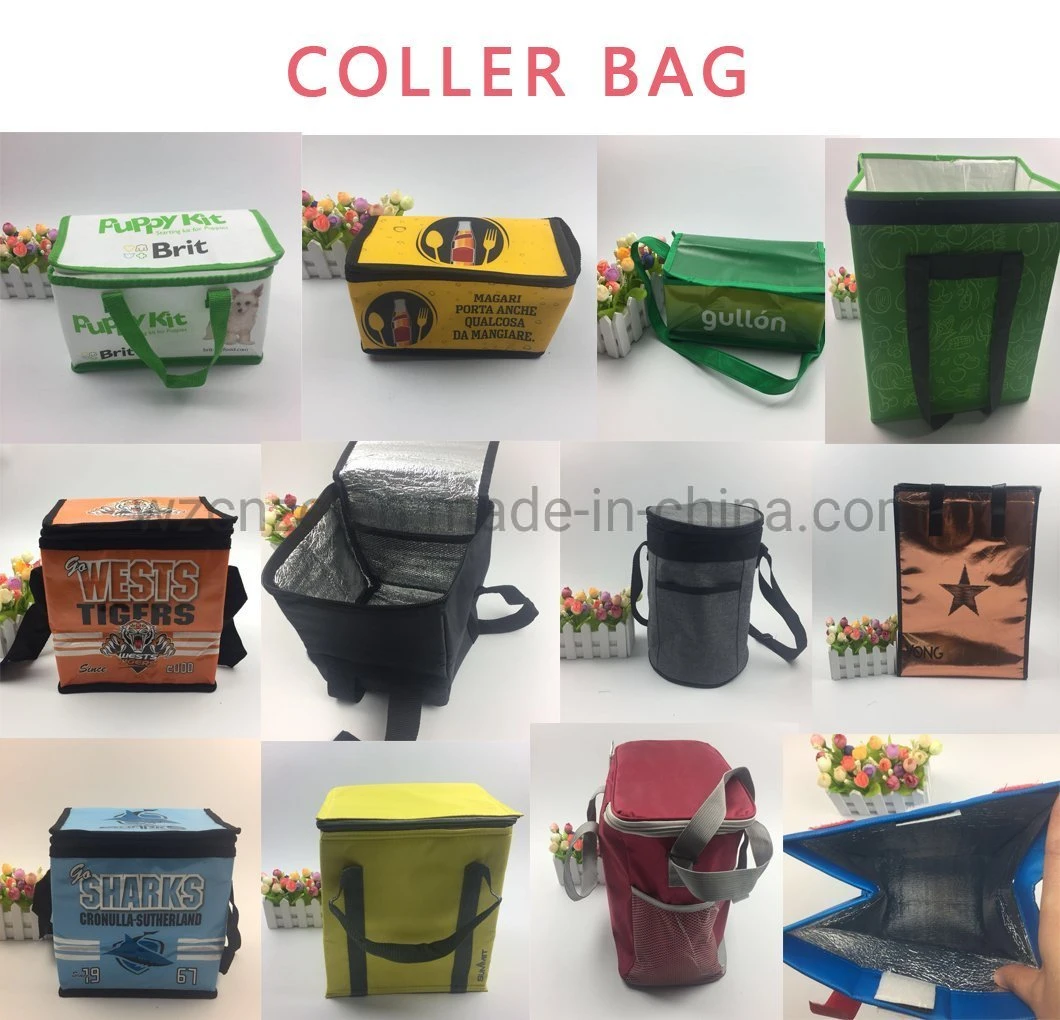 Customized Reusable Waterproof Insulated Cooler Lunch Tote Bag