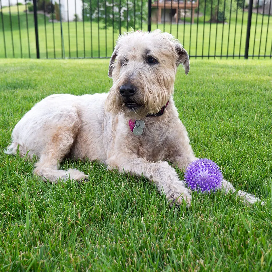 Wholesale Dog Treat Toy Ball Dog Tooth Cleaning Toy Interactive Dog Toys