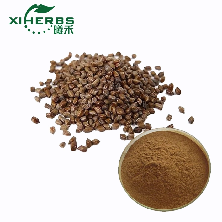 Natural Semen Cassia Seed Extract Powder Cassia Seed Extract/Semen Cassiae P. E