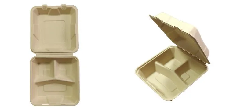 Customizable Food Packaging Container Sugar Cane Compostable Eco Friendly Lunch Box Take Away Moulded Noodle Box