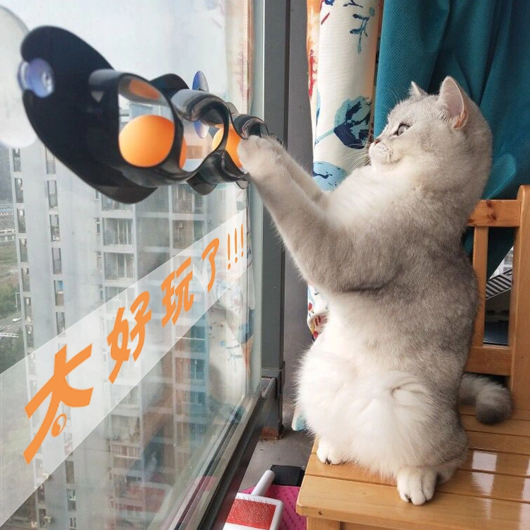 Cat Track Ball Toy with Sucker, Interactive Cat Toy, Window Suction Cup Trackball Pets Cat Toys, Funny Plastic Track Ping Pong Ball Toy Esg12561
