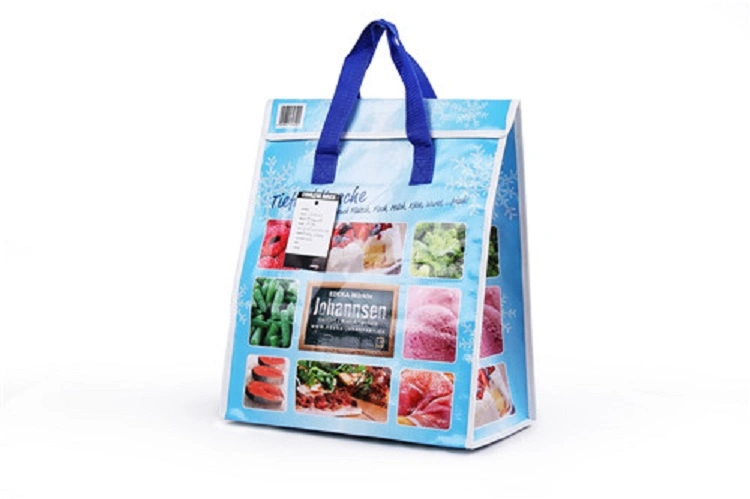 Wholesable Portable Lunch Cooler Bag PP Woven Food Cooler Bag Picnic Bag
