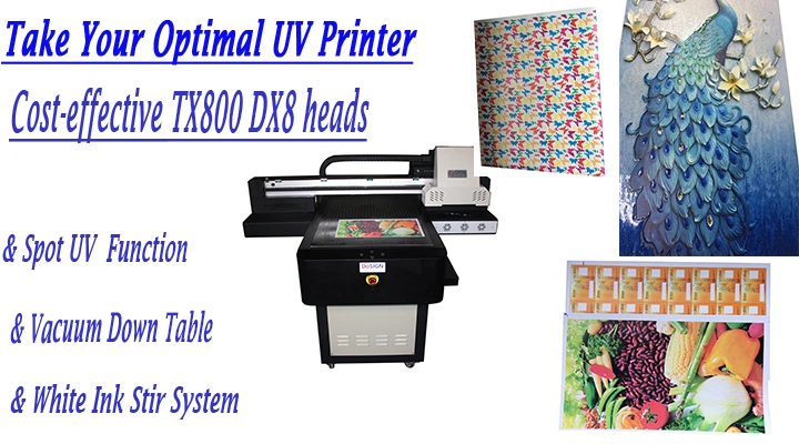 Cost Effective Dx8 Tx800 Print Head A1 A2 A3 Size UV 3D Texture Printer