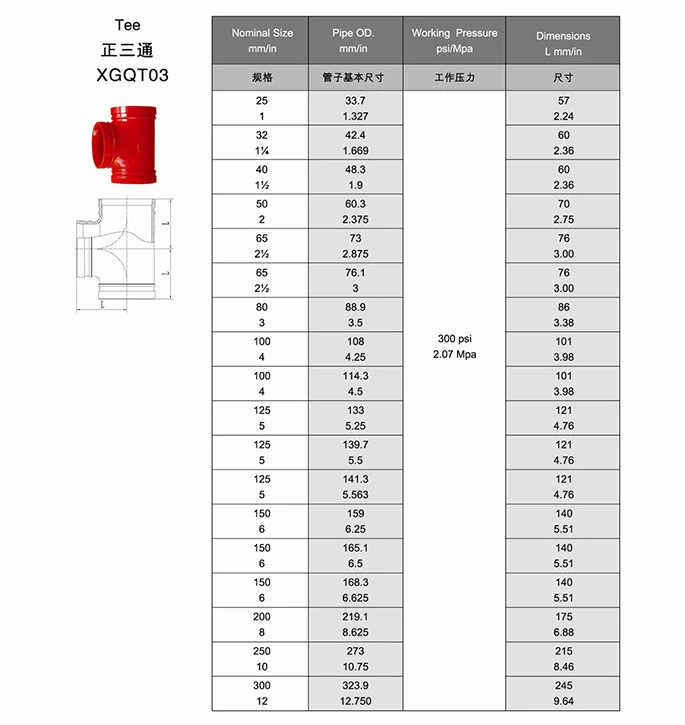 Hot Sale in European Market Fitting Reducing Tee Pipe Grooved Fittings Used for Fire