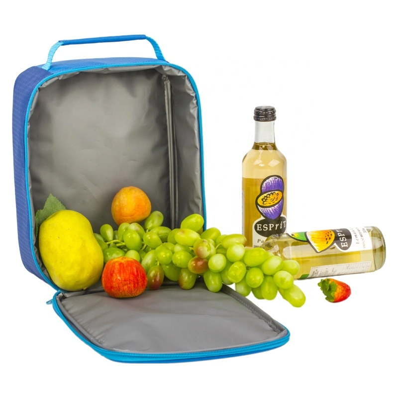 Small Insulated Cooler Box Reusable Kids School Lunch Bag