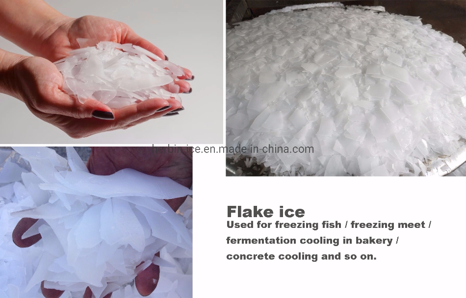 Industrial Flake Ice Maker Machine, Flake Ice Machine to Make Pure, Dry, Powder-Less Flake Ice