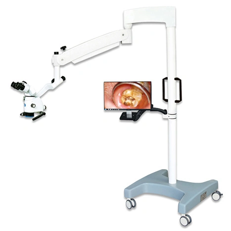 High Quality Dental Microscope with Monitor/ Dental Equipments Price (MSL06B)