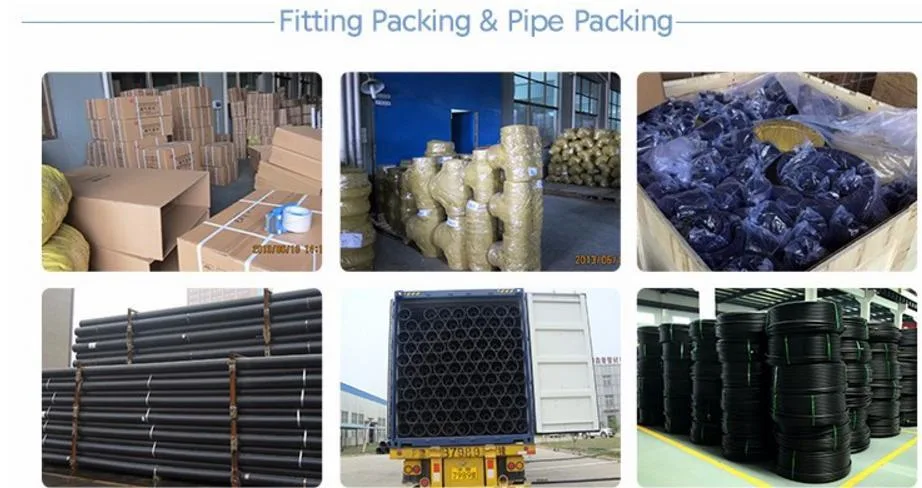 PE Pipe Fitting China with High Quality (end cap)