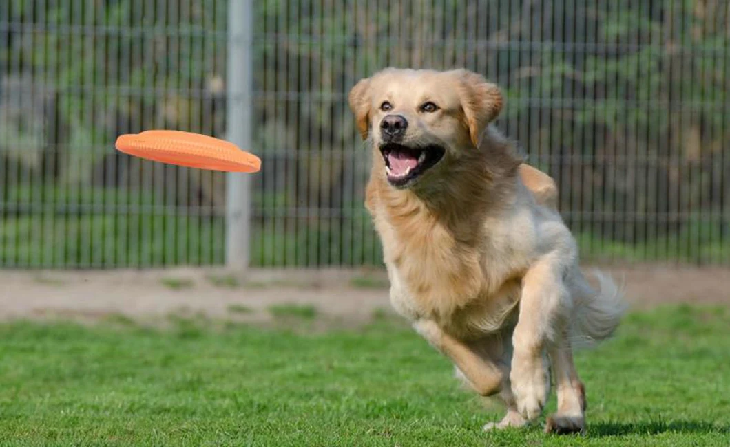 Flying Disc Throw Durable Non-Toxic Bite Resistant Dog Frisbee Fetch Dog Toys Fetch Dog Toys Exercise Playing Chew Toy Float to Water Esg12655