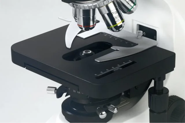 BS-2063t 40-1000X Biological Microscope for College Education