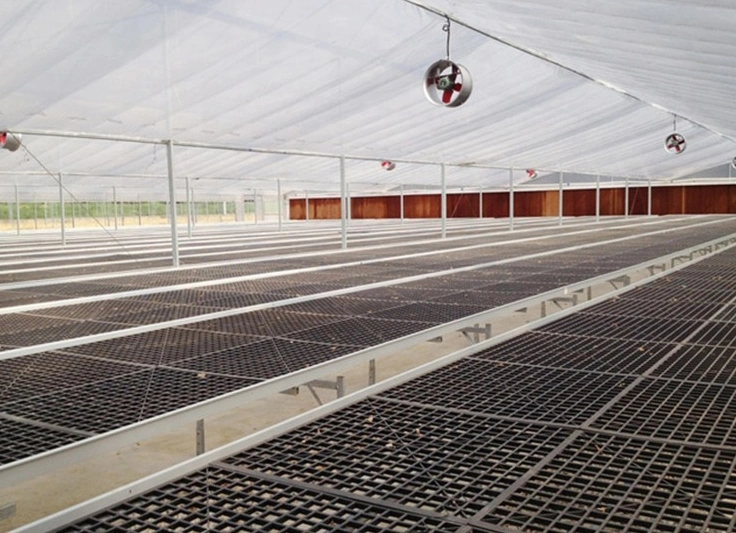 Galvanized Steel Tube Glass Greenhouse with Drip Irrigation System