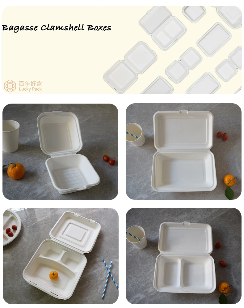 Eco Friendly Compostable Degradable Bagasse Sugarcane Clamshell Box Lunch Box