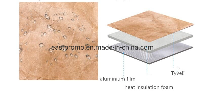 Hot Sale Ecotyvek Lunch Bag, Reusable Paper Picnic Thermal Bag, Brown Cooler Bag