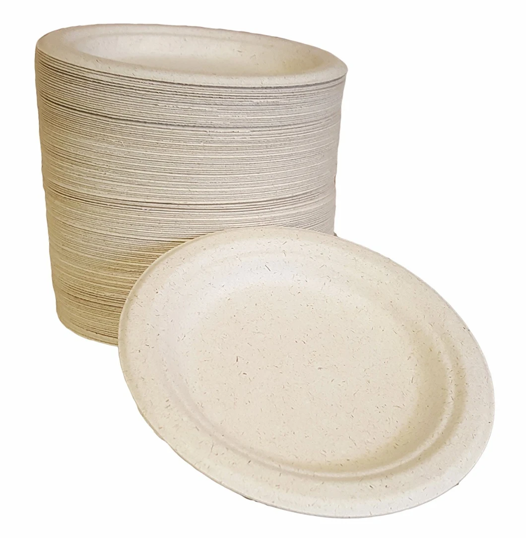 Hot-Selling Disposable Tableware, Disposable Degradable Lunch Container, Dinner Plates