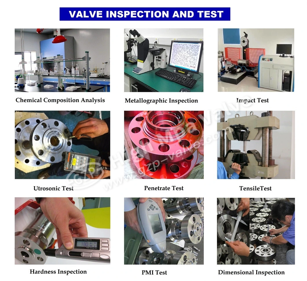 Hard Seat Ductile Iron Flange Connection Cast Iron Double Disc Globe Valve