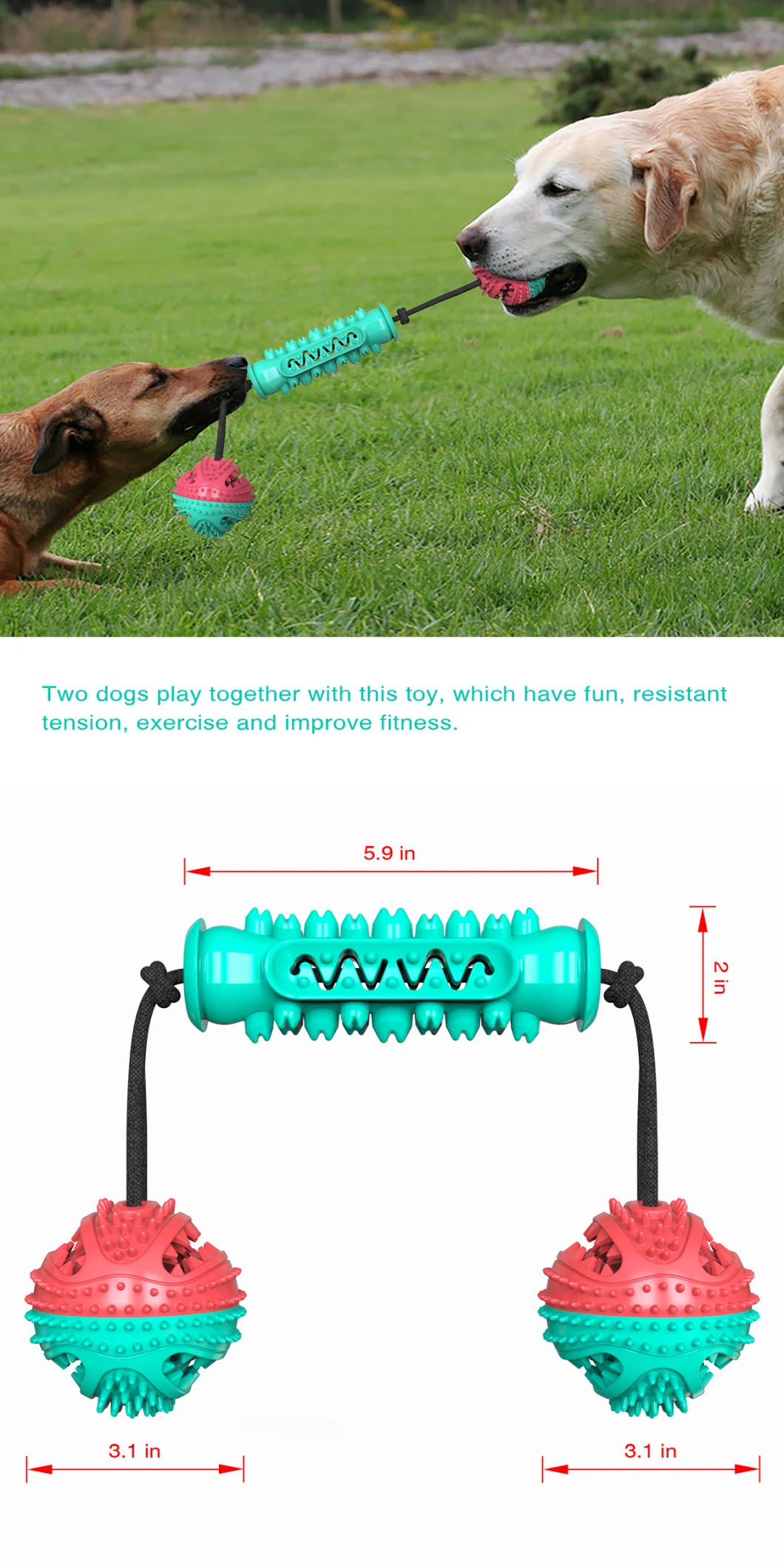 Dog Toothbrush Toy with Rubber Chew Ball for Dog Toy Pet Products