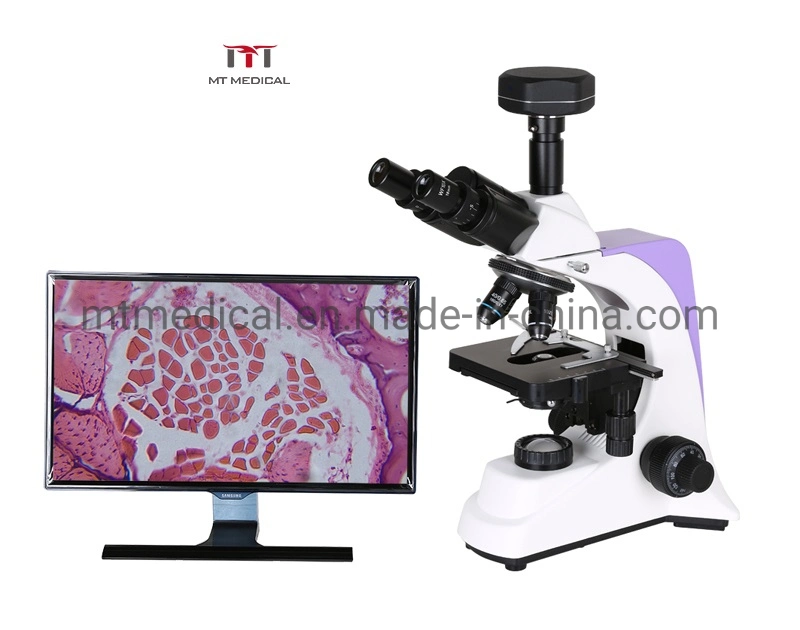 Professional Fluorescence Microscope LED Microscopes Manufacturer in China