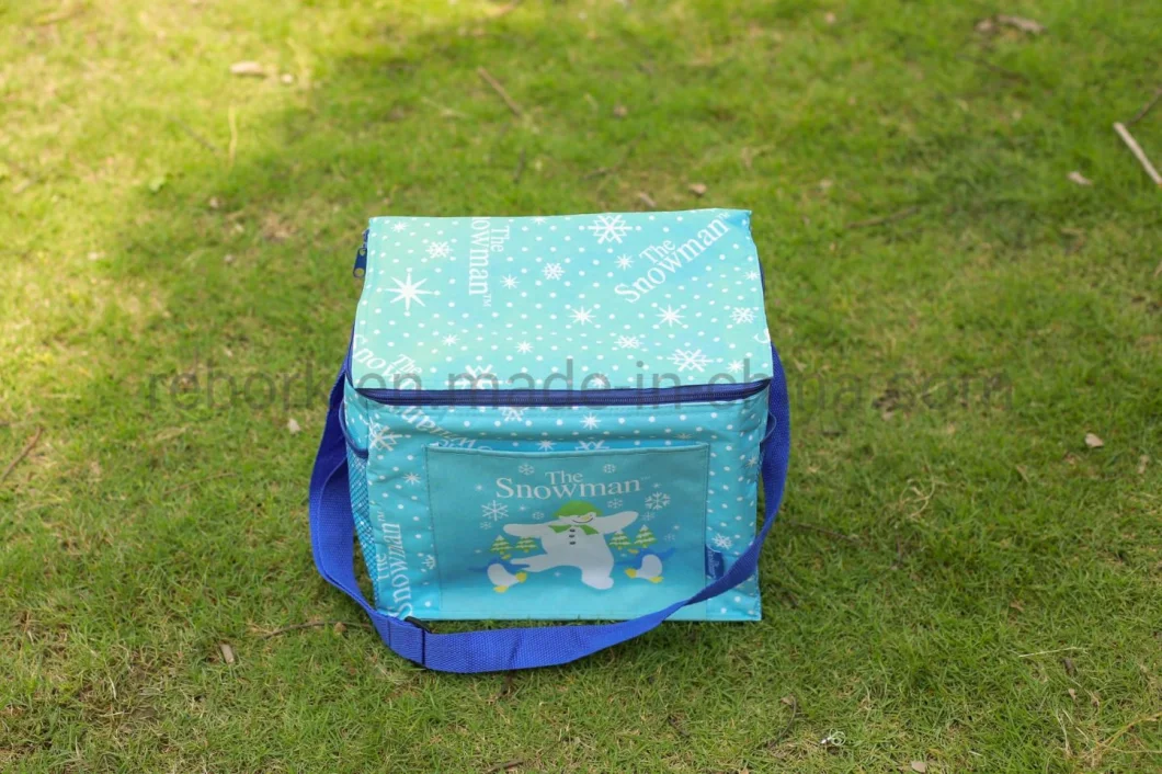Printed Picnic Lunch Bento Foods Bottle Ice Bag Thermal Cooler Bag Insulated Cooler Bag