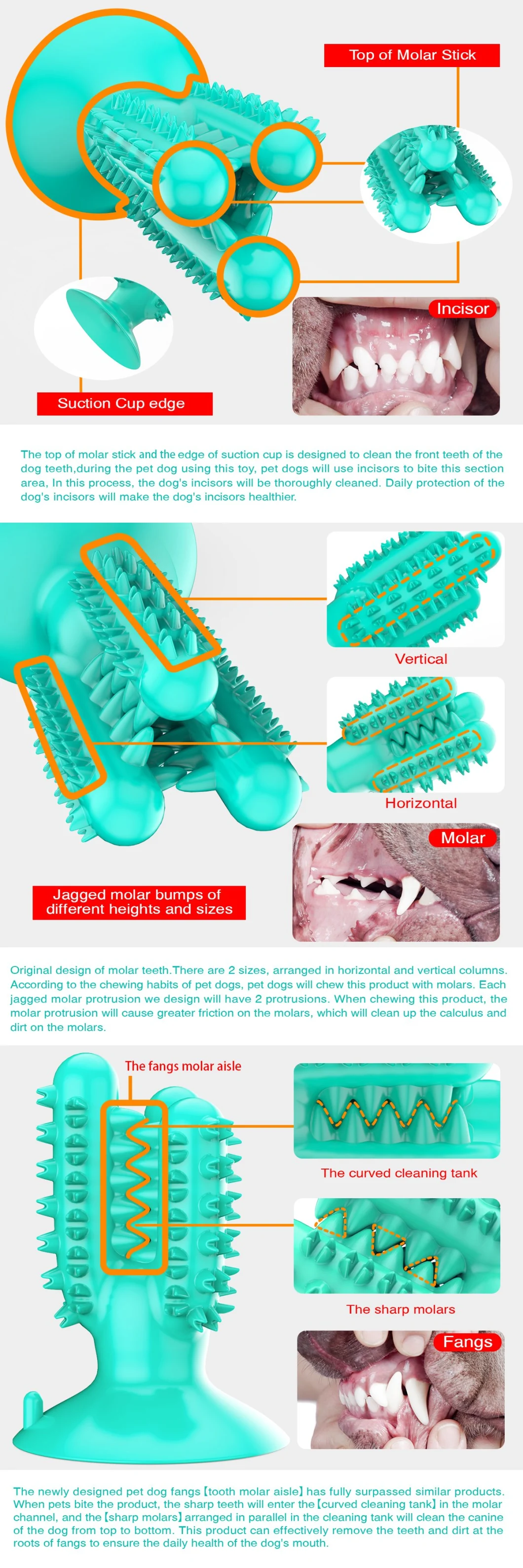 Dog Toothbrush Pet Chew Toys Finger Teeth Cleaning Brush Stick Cactus Dog Toothbrush