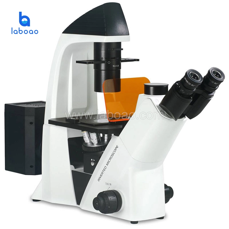 Optical Biological Inverted Fluorescence Microscope Used in Science Research