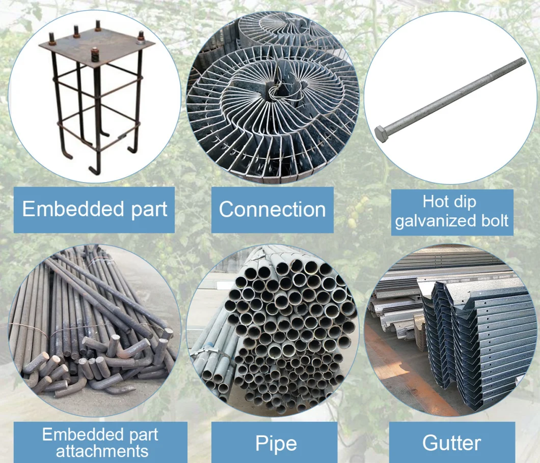 Galvanized Steel Tube Glass Greenhouse with Drip Irrigation System