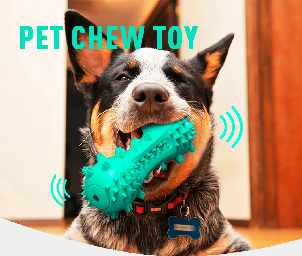 Amazon Best Selling Pet Chew Toothbrush Celaning Toys Dog Cat Pet Toys