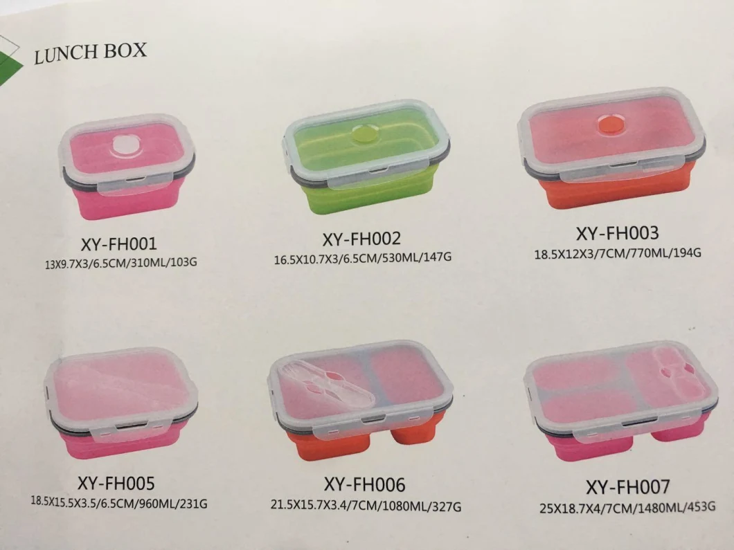 Reusable PP Silicone Lunch Bento Storage Box for Outdoor/School/Office/Hospital/Camping