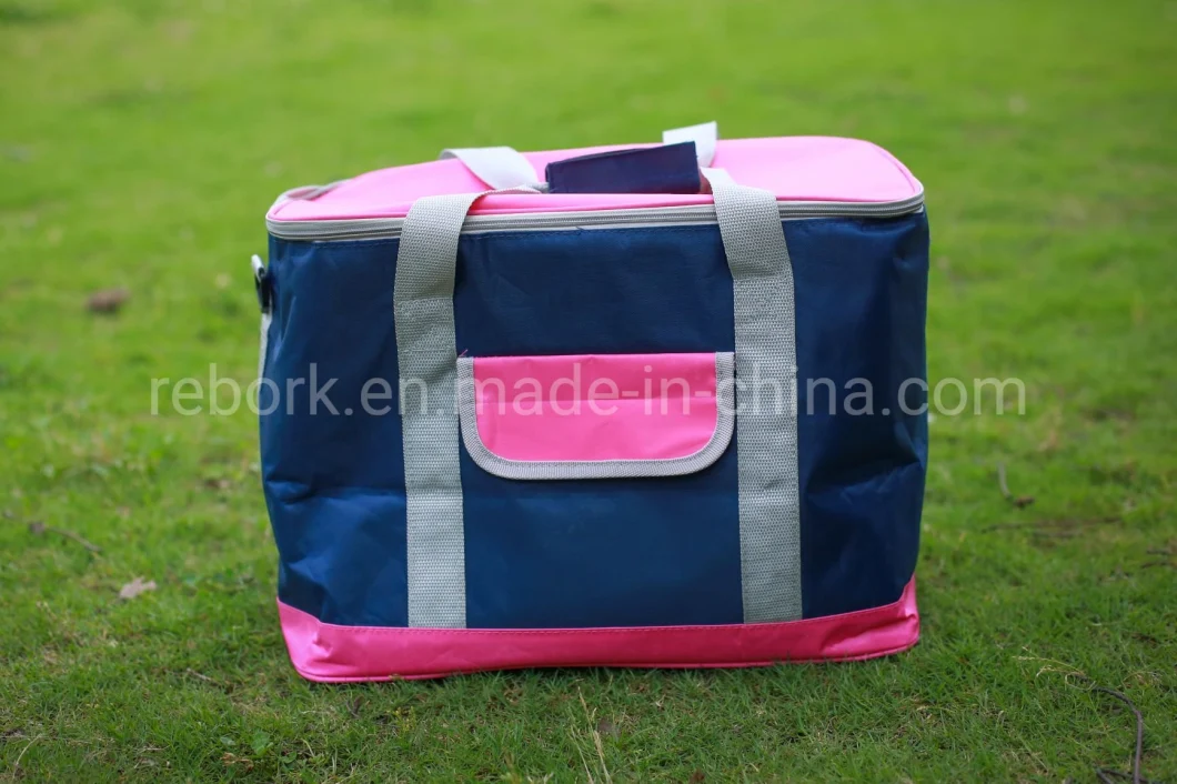 Promotional Picnic Lunch Bento Foods Bottle Ice Bag Thermal Cooler Bag Insulated Cooler Backpack Bag
