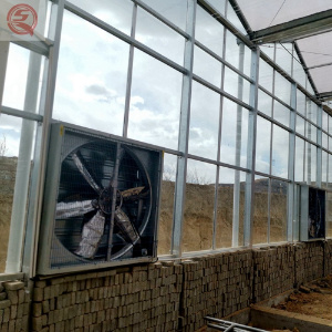 Automatic Agricultural/Industrial/Commercial Glass Greenhouses with Hydroponic Drip Irrigation System