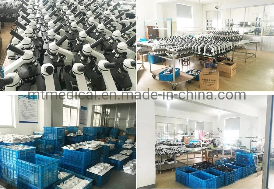 Factory Price 300 Series Monocular Multi-Purpose Monocular Biological Microscope 1000X