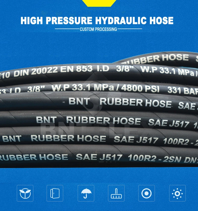 Stainless Steel Braided High Pressure Shower Hose Replacement PTFE Hydraulic Hose